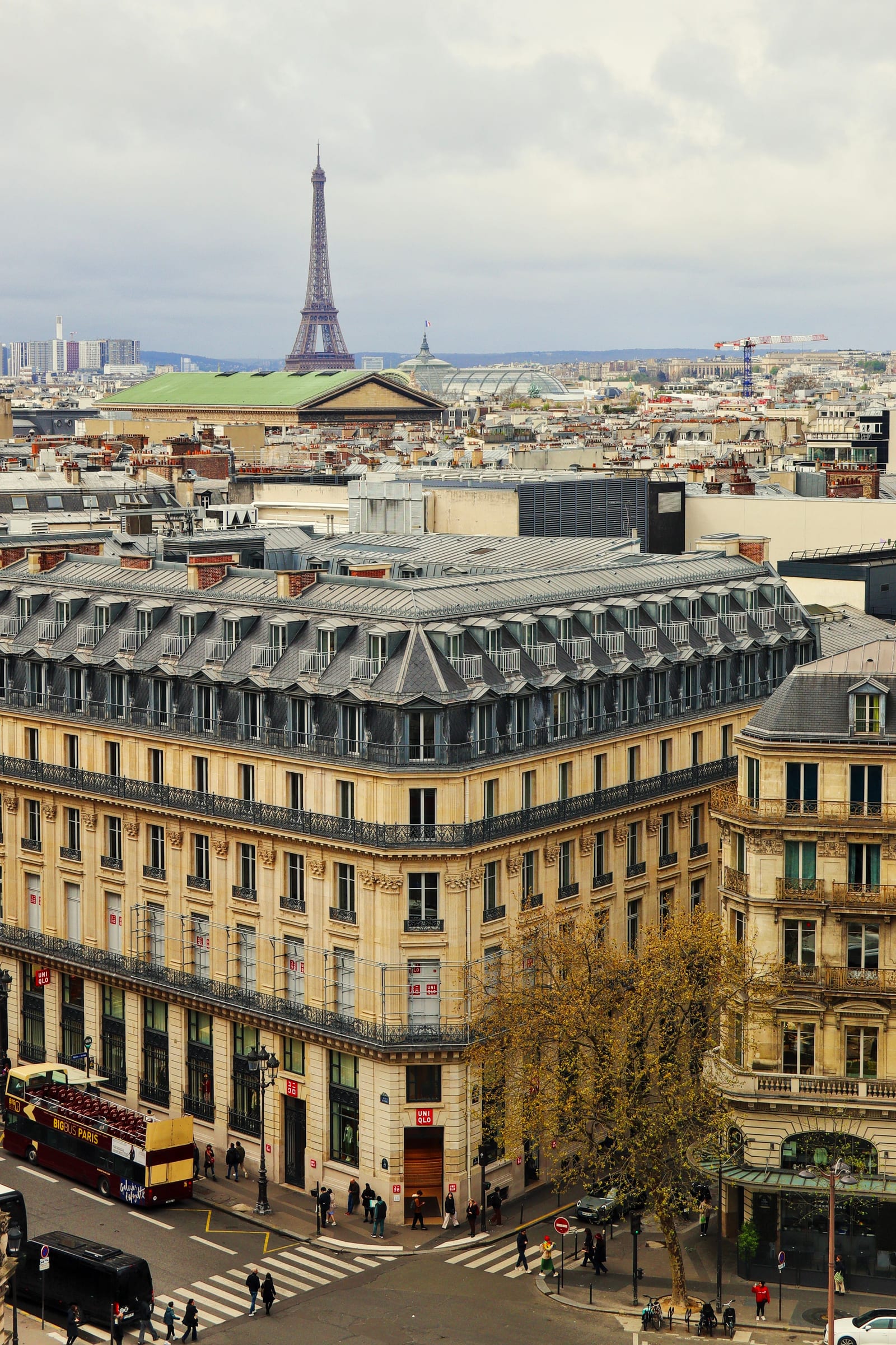 Toits haussmanniens de Paris avec la Tour Eiffel à l'horizon — l'immobilier français vendu aux enchères judiciaires.