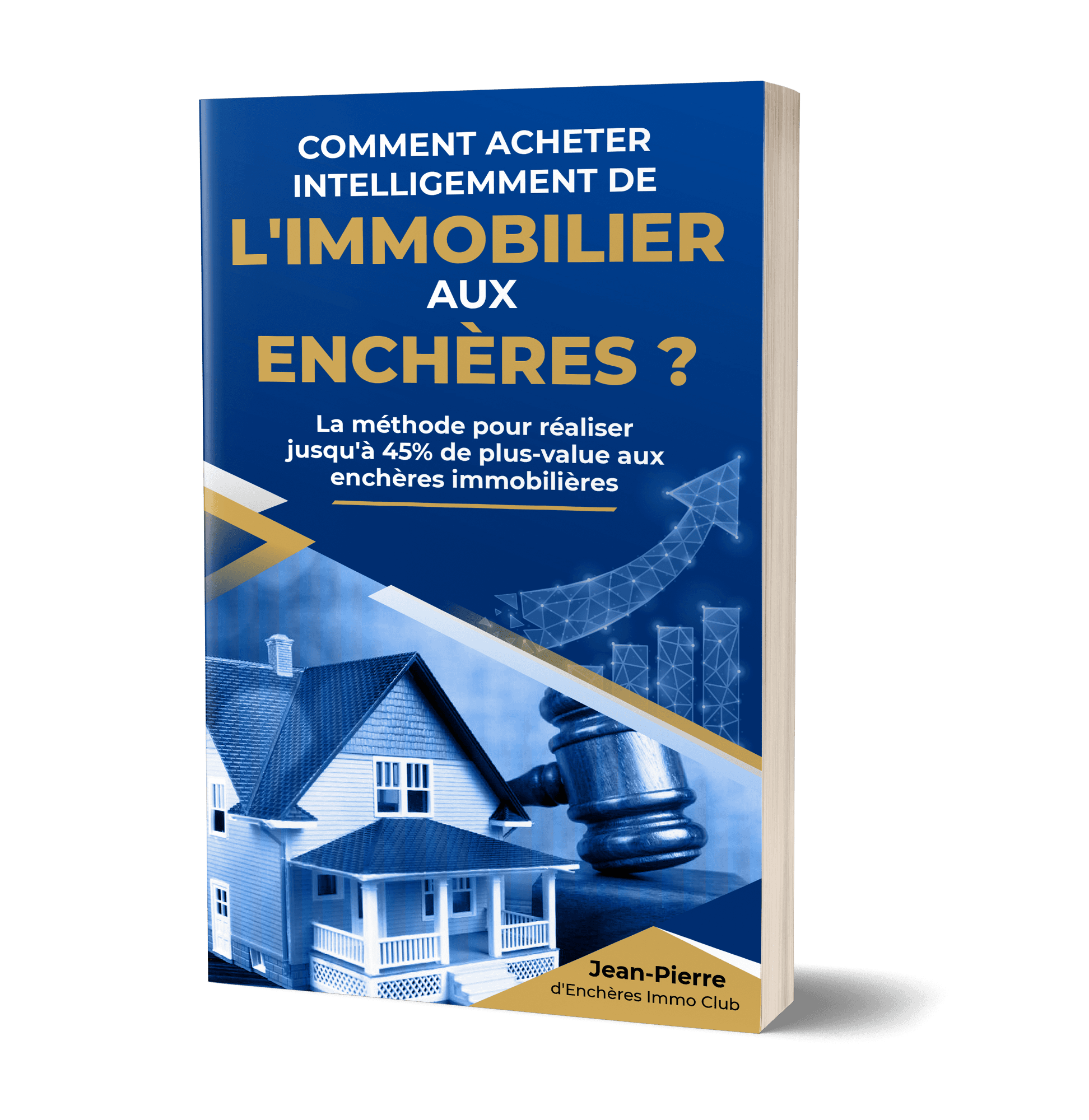 Livre : Comment acheter intelligemment de l'immobilier aux enchères ?